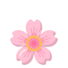 Cherry blossom